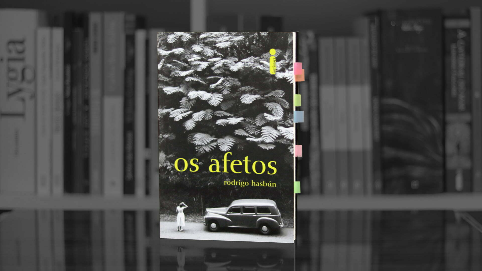Resenha de Os Afetos, de Rodrigo Hasbún - Além dos Livros